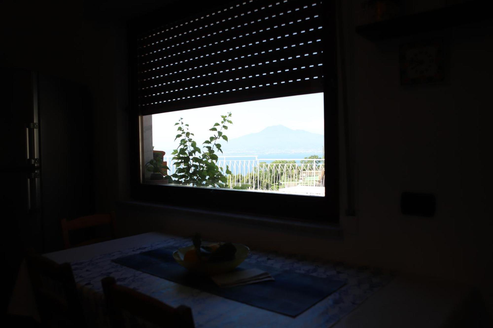 The Dreamer'S Terrace 维克艾库塞 外观 照片